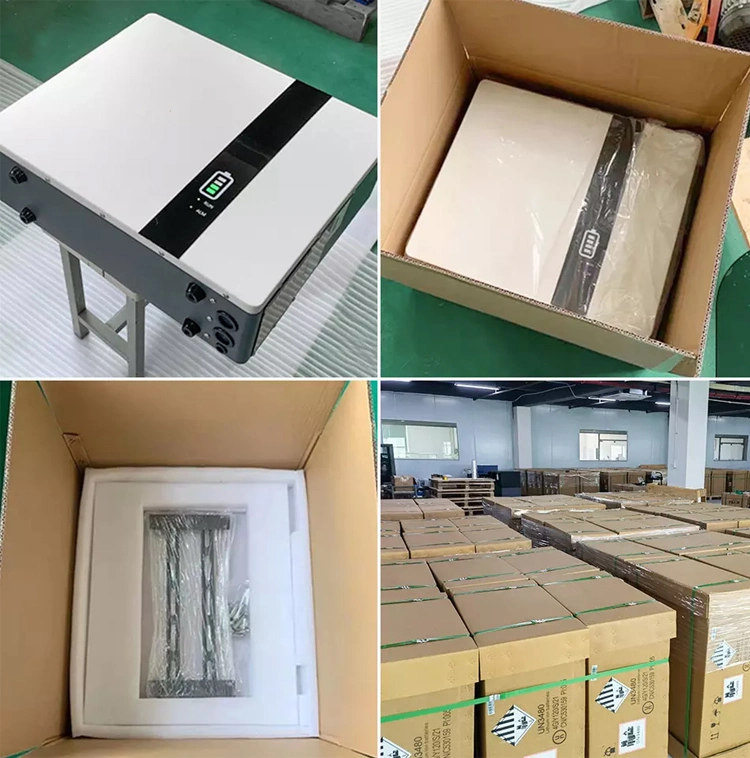China Li-ion Sw Lithium Storage 100ah 200ah Battery with Cheap Price Lfpwall 10K Wind Turbine LiFePO4 Charge Controller Lithium Ion Battery All in