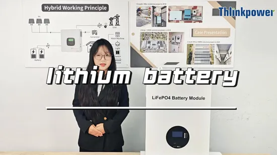 Home Energy Storage a+ Celllifepo4 LiFePO4 Battery Pack 48V 100ah for Electric Bike Car