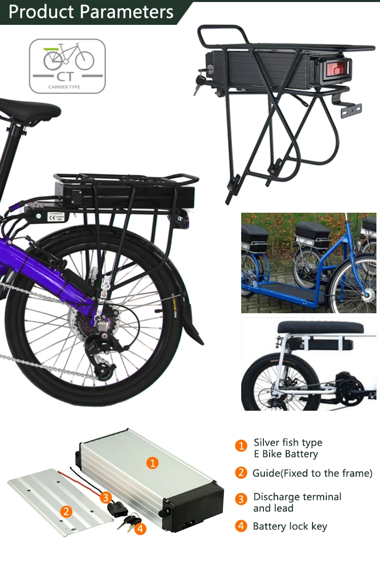 Phosphate Lithium Rear Rack LiFePO4 Cycle Power Battery for Electric Bicycle