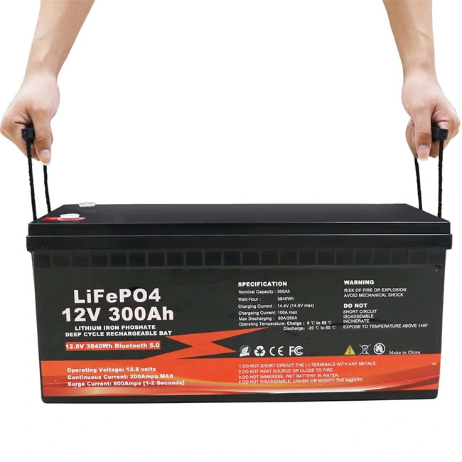 Solar System LiFePO4 Battery Pack Lithium Ion12/24/36/48V 100/200/300ah/400ah Li-ion Batteries Energy Storage System Ebike RV