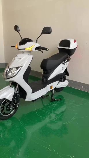 Electric Scooter with Both Disc Brake, 60V 20ah Lead