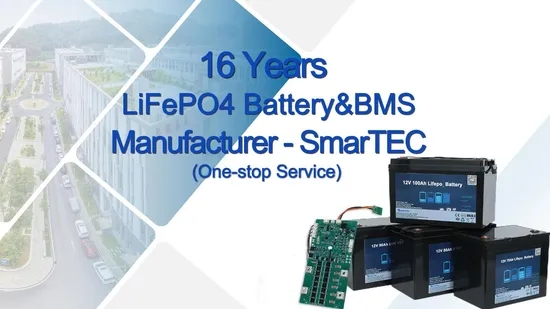 China Factory Lithium Battery Exporter OEM 12V 24V 10 Ah 20ah 30ah 50ah 55ah 70ah 90ah 100ah Deep Cycle LiFePO4/Li