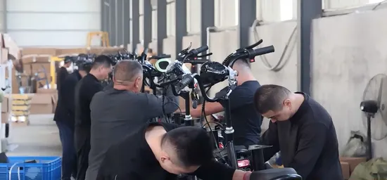 Motorcycle/Citycoco Scooter Electric Bike E